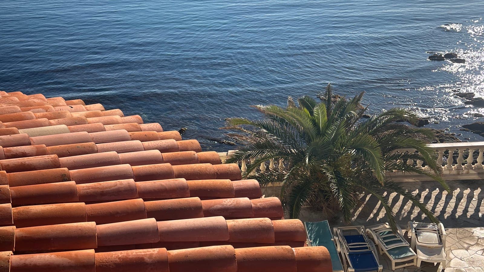 Versant en tuiles de terre cuite au-dessus d'une terrasse, d'un palmier et de la mer