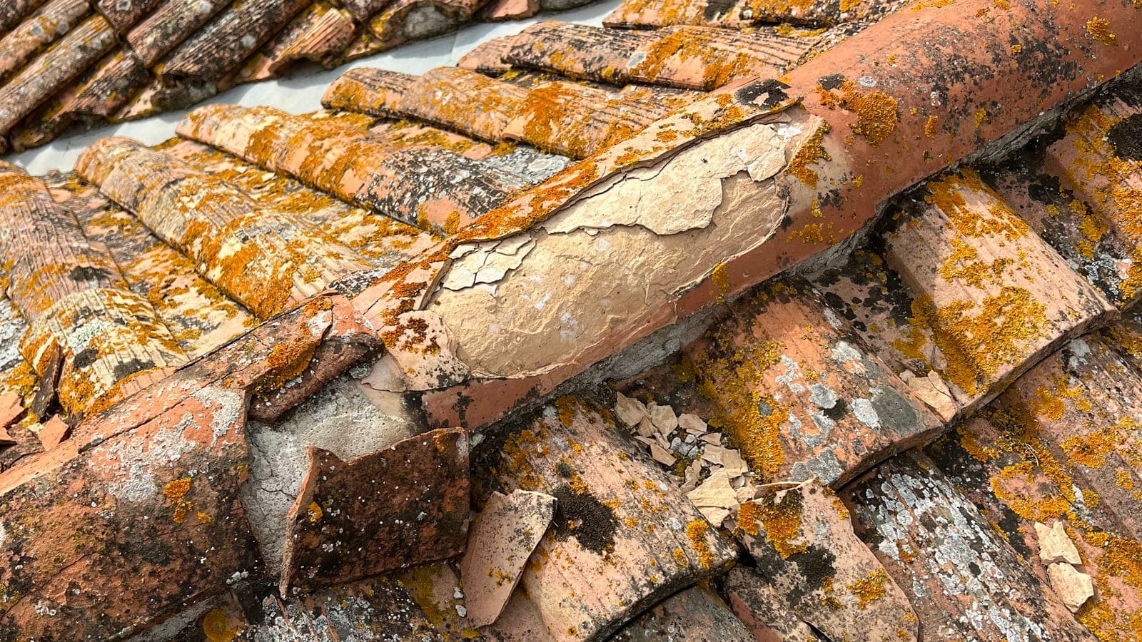 Tuiles canal couvertes de lichens jaunes, tuile de faîtage éclatée