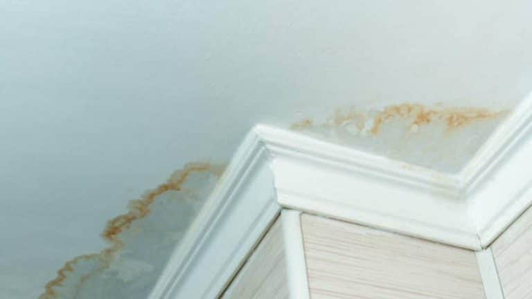 colmater une éventuelle fuite d'eau sur un toit