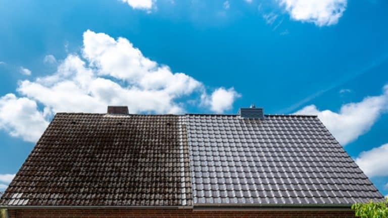 période pour nettoyer sa toiture